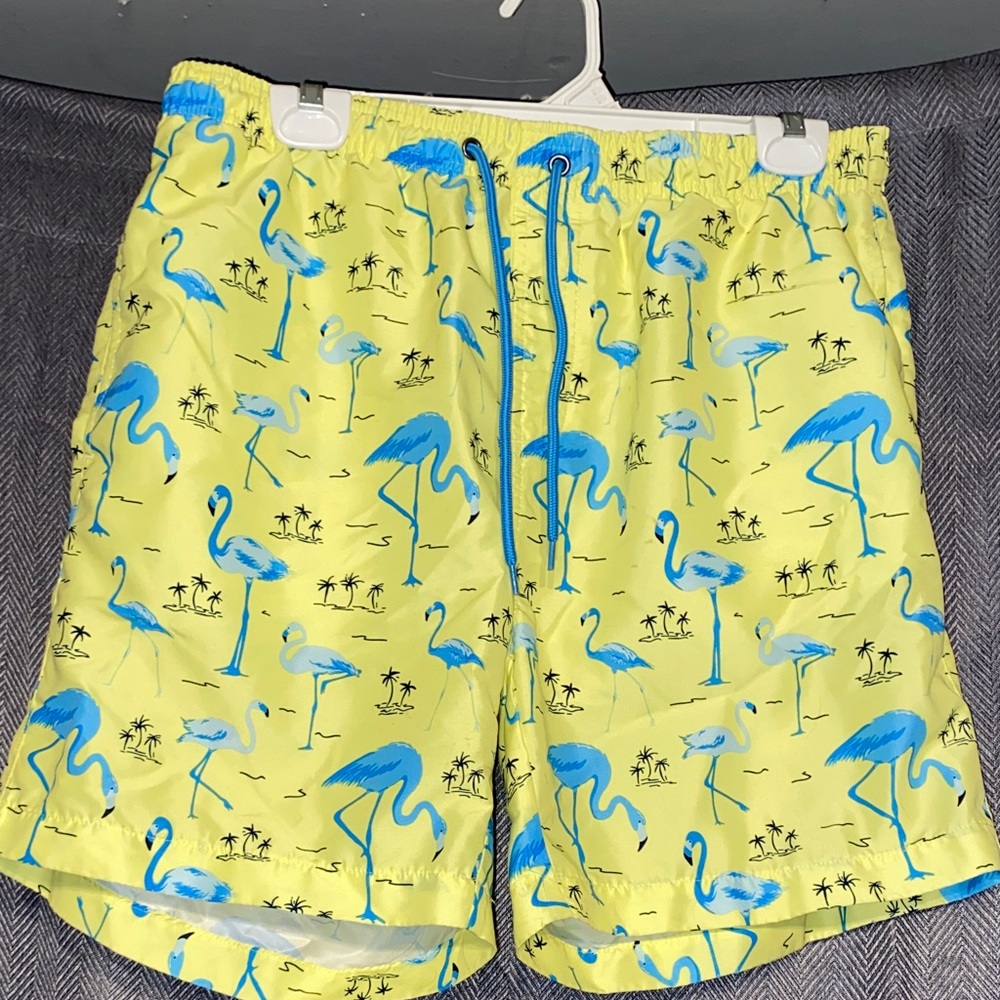 Tropical Flamingo Print Men's Swim Trunks